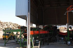 Bukova drva in sekanci iz slovenskih gozdov za kurjavo