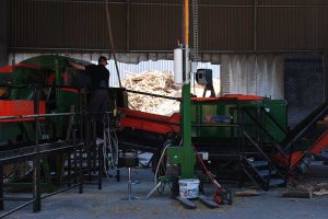 Bukova drva in sekanci iz slovenskih gozdov za kurjavo